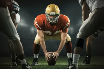 Illustration snappers - Image 1