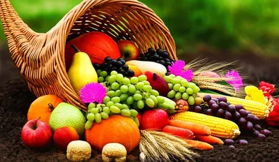 Illustration fulfilled - Image 1