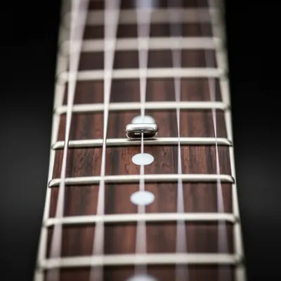 Illustration fret - Image 1