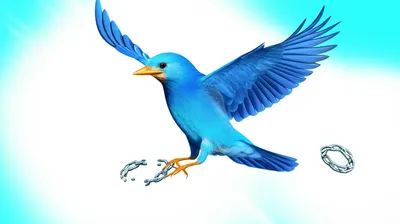 Illustration unfettered