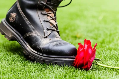 Illustration crudity - Image 1