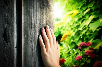 Illustration permitting - Image 1