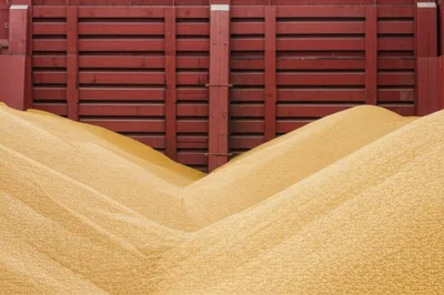 Illustration pouches - Image 1