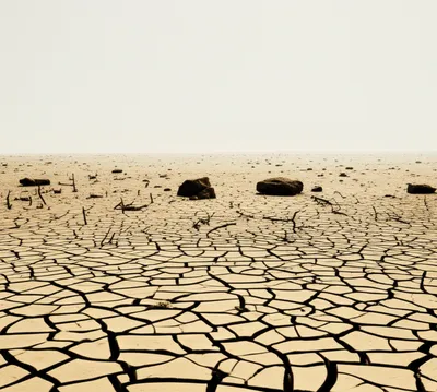 Illustration dry - Image 1