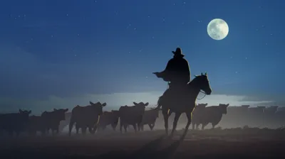 Illustration rustling - Image 1