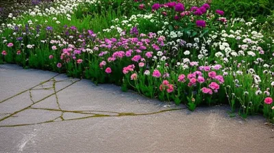 Illustration occupying - Image 1