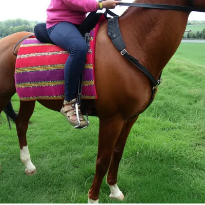 Illustration pads - Image 1