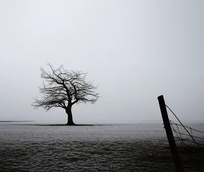 Illustration bleak - Image 1