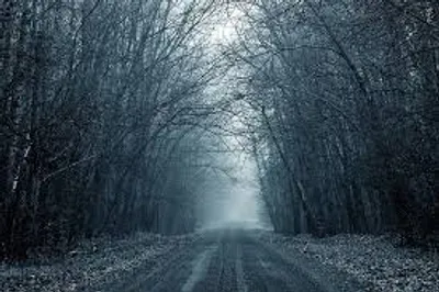 Illustration dingy - Image 2