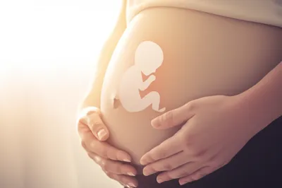 Illustration foetal - Image 1