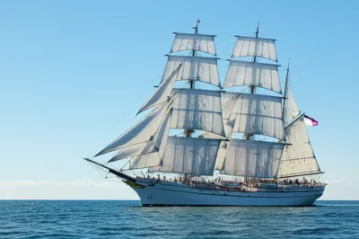 Illustration suits - Image 1