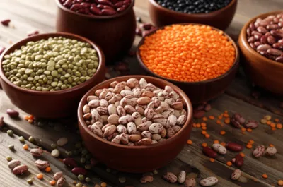 Illustration dhal - Image 1