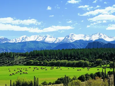 Illustration terrestrial - Image 1