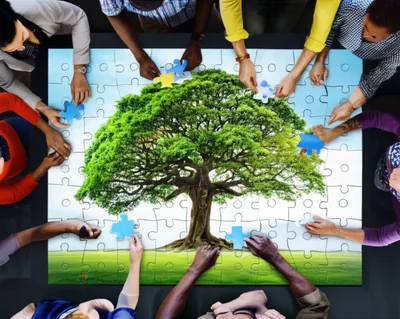 Illustration comps - Image 1