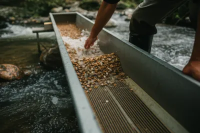 Illustration racked - Image 1