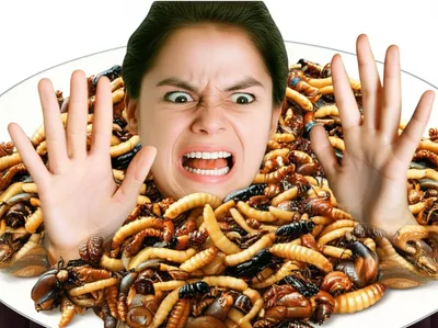 Hình ảnh minh họa abhor - Ảnh 1