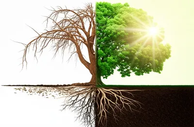 Illustration redressing - Image 1