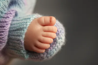 Illustration booties - Image 1