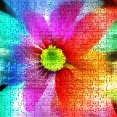 Illustration compile - Image 1