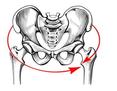 Illustration swivel - Image 1