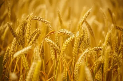 Illustration quants - Image 1