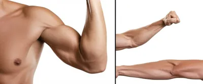 Illustration flexions - Image 1