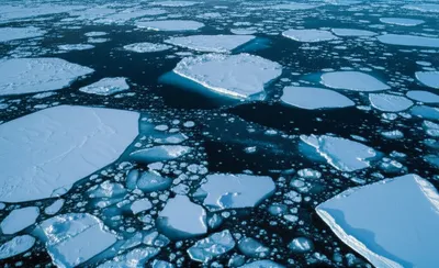 Illustration brash - Image 1