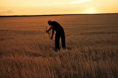 Illustration glean - Image 1