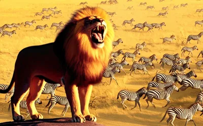 Illustration prevailing