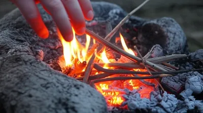 Illustration relit - Image 1