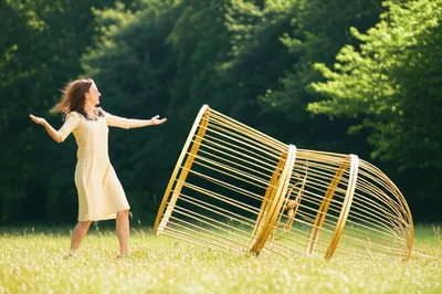 Illustration livery - Image 1