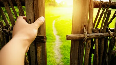 Illustration allow - Image 1