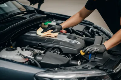 Illustration detailing - Image 1