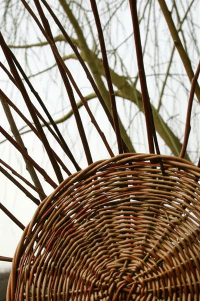 Illustration wicker - Image 1