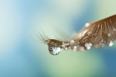 Illustration lash - Image 1