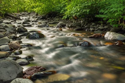 Illustration purl - Image 1