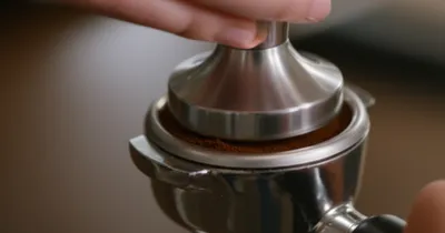 Illustration tamps - Image 1