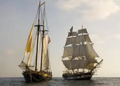 Illustration consort - Image 2