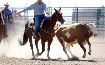 Illustration hazed - Image 1