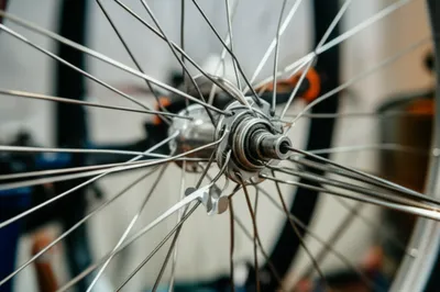 Illustration laced - Image 1