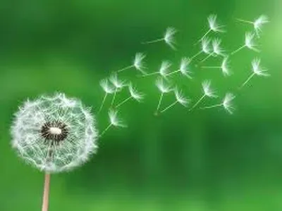 Illustration disperse - Image 3