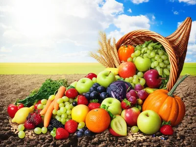 Illustration fulfil - Image 1