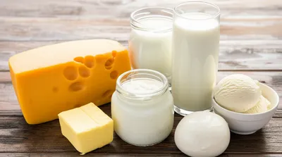 Illustration dairy - Image 1