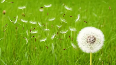 Illustration spreading - Image 1