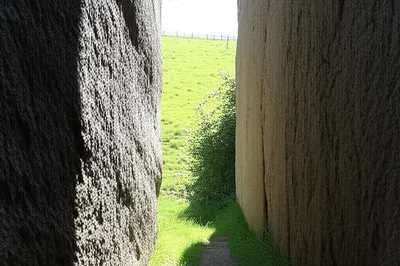 Illustration precludes