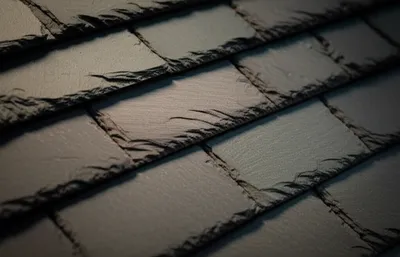 Illustration dominations - Image 1