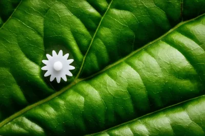 Illustration foreign - Image 1