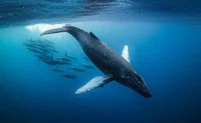 Illustration milling - Image 1