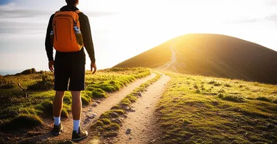 Illustration purposes - Image 1