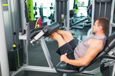 Illustration extensions - Image 1